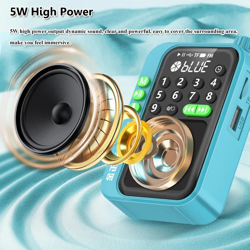 Mini LED Display Radio Portable Best Reception FM Radios Wireless Bluetooth Speaker HD Recorder Support TF Card USB Timer off