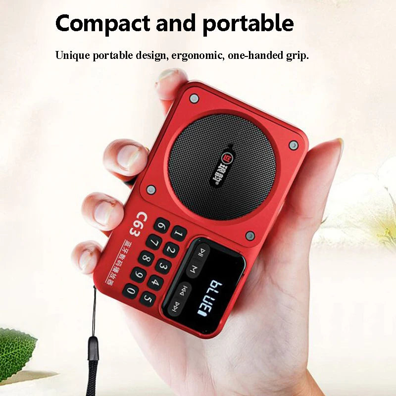 Portable LED Display Radio Mini FM 76-108MHZ Radios Wireless Hifi Sound Bluetooth Speaker Lanyard Design TF Card USB Music Playe